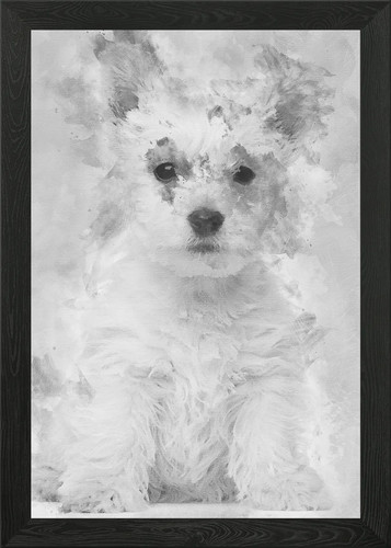 West highland terrier pupp - west,