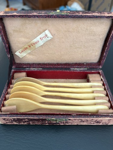 Antique bone spoon set - antique,