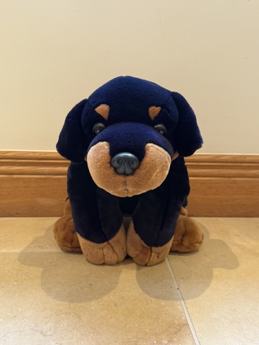 Rottweiler puppy dog black - rottweiler,