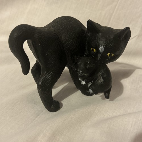 Black white cat with - ,