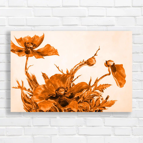 Vibrant poppy field - field, orange