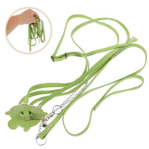 Lizard leash set - leash, portable
