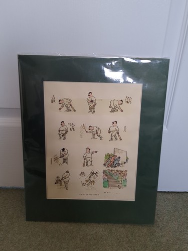 Bateman coloured cricket - h, m