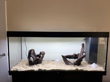 Juwel Rio 450 Whole Setup with FX6 Filter No Fish Included See Description