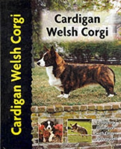 Cardigan welsh corgi - cardigan,