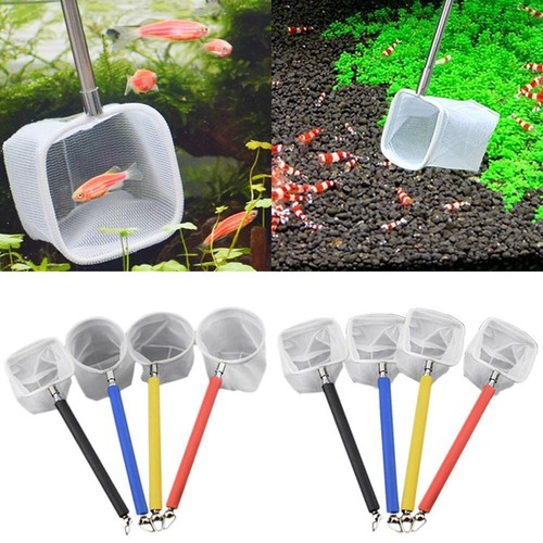 Aquarium net fish - aquarium,