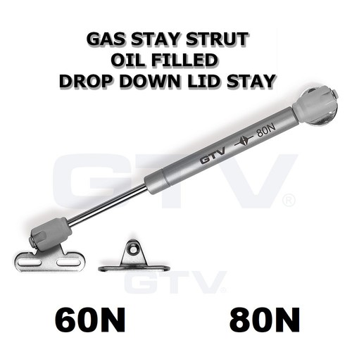 Hydraulic gas strut stay - strut,