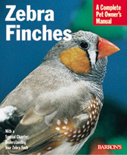 Zebra Finches (Complete Pet