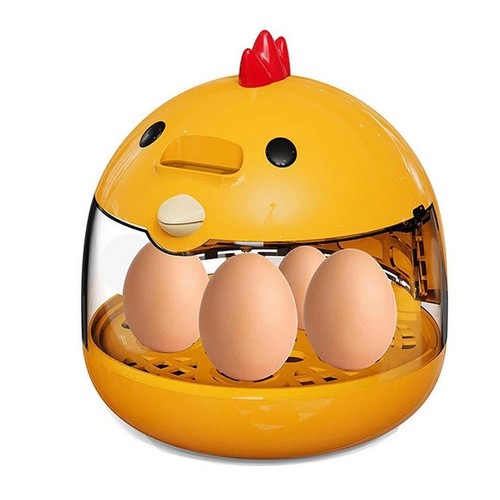 Eggs incubator farm - eggs,