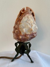 Vintage italian conch - conch, shell
