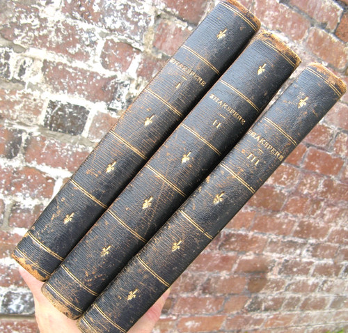 1898 antique leather - 1898,