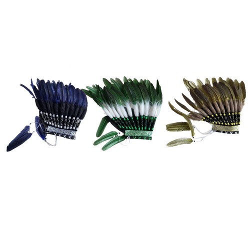 Native american indian feather - american,
