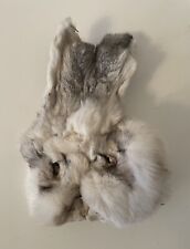 Vintage Preserved RABBIT HEAD Taxidermy 