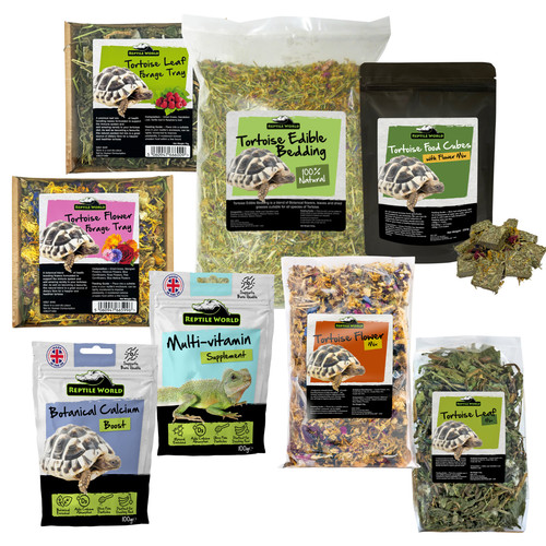 Reptile world forage - reptile,
