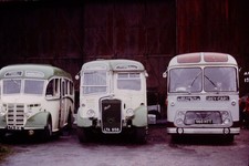 1982 Original Bus Slide Royal