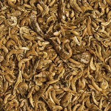 Premium GAMMARUS & SHRIMPS MIX