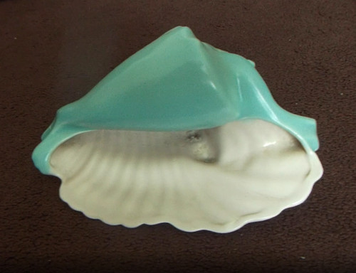 Poole shell scarce - poole,