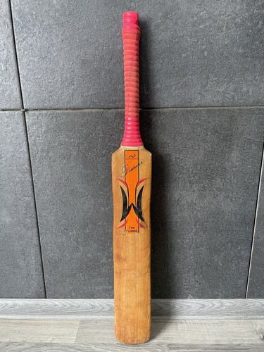 Woodworm pioneer torch - woodworm,