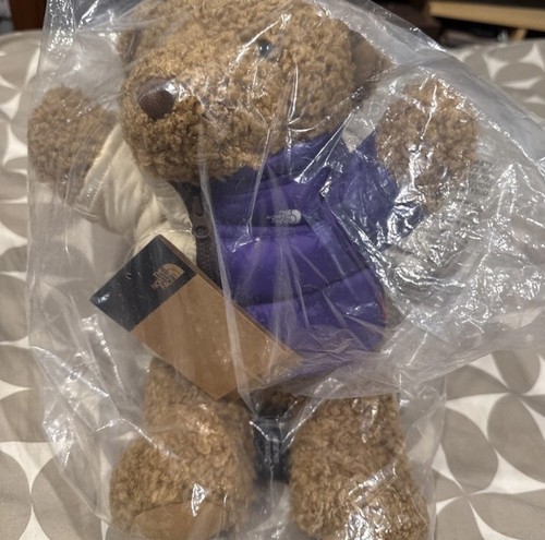 Supreme the north face - supreme, bear