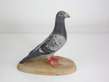 Killyglen Studio Pigeon Bird