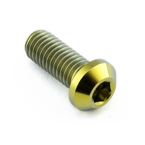 Titanium disc bolt - disc, to