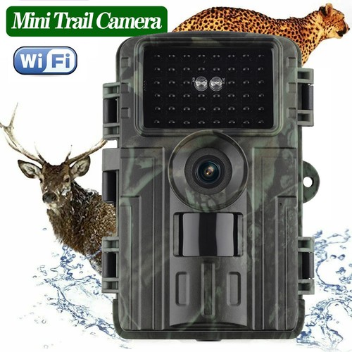 Wildlife trail camera wifi - trail,