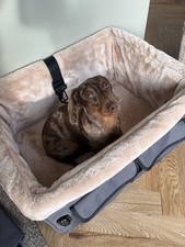 Petsfit dog booster car seat for medium dog or 2 small dogs colour grey