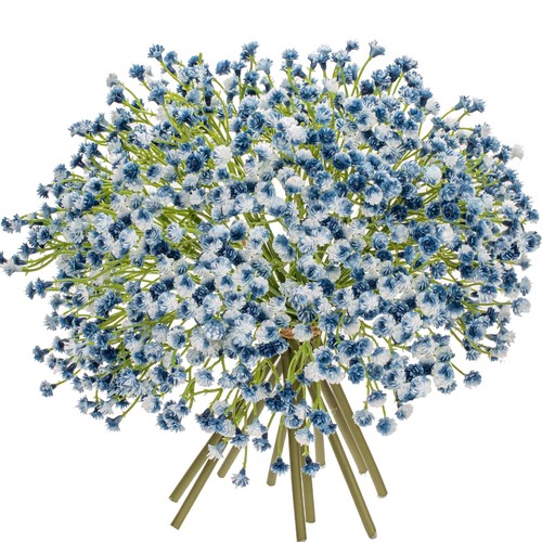 Dilatata babys breath - dilatata,