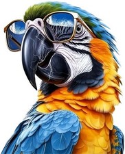 Blue gold macaw parrot - macaw, bird