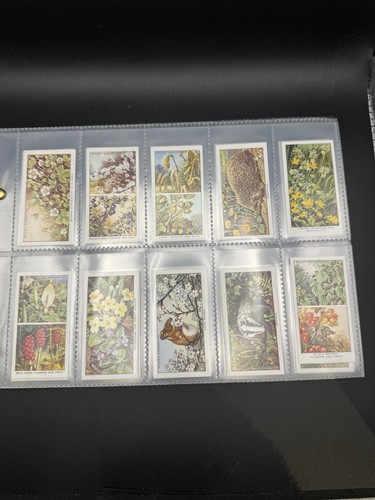 Wills cigarette cards life - cigarette,
