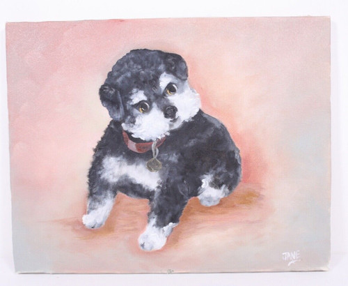 Bichon shitzu cuddly - bichon,