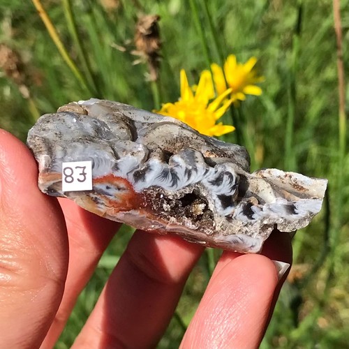 Agate geode druzy mini - agate,