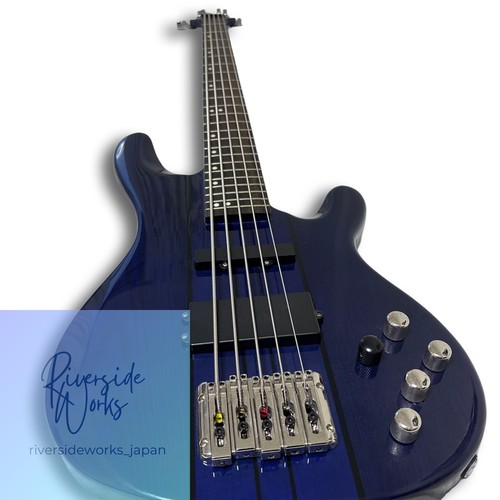 String electric bass - string,
