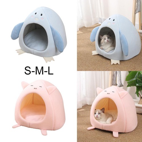 Cat and dog - cat, puppy