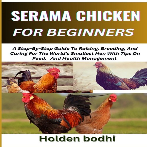 Serama chicken farming - farming, for