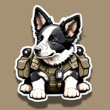 Tactical Border Collie Dog