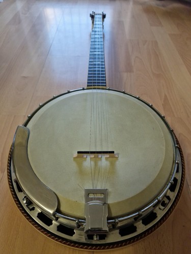 Ariana string banjo - string,