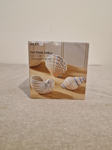 Sea shell ornament next set - shell, ornament-next