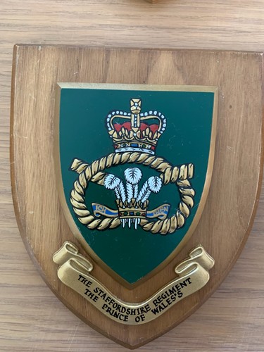 The staffordshire regiment - the,