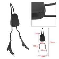 Passenger Backrest Sissy Bar