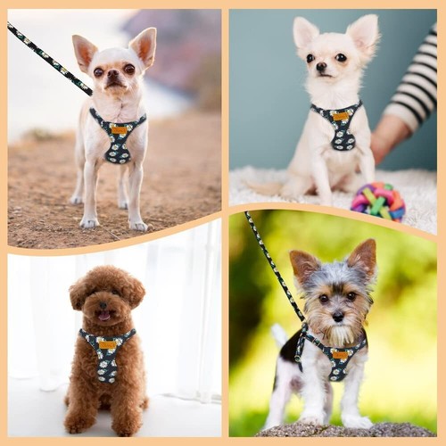 Puppy harness and leash set - harness,