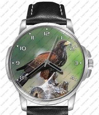 Harris Hawk Bird Of Prey Black