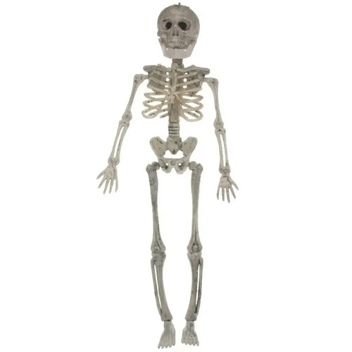 Halloween skeleton decoration - skeleton,
