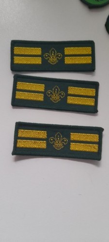 Vintage cub badge scout - cub,