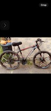 Freedom Mountain Bike