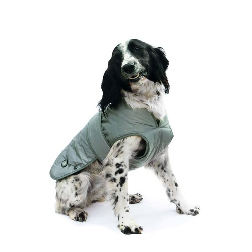 Ancol ultimate reflective - ancol, dog