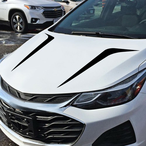 Car sticker body - hood, vinyl