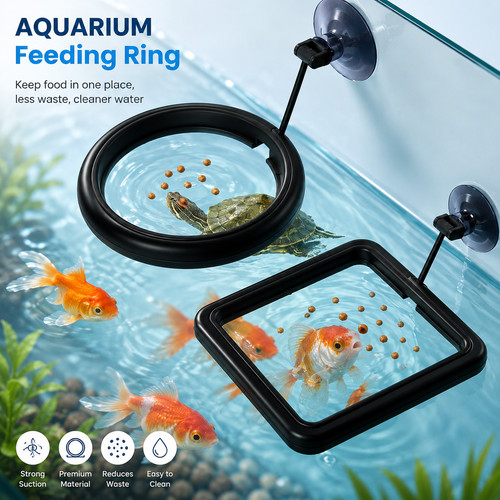 Fish feeding ring - ring, suction