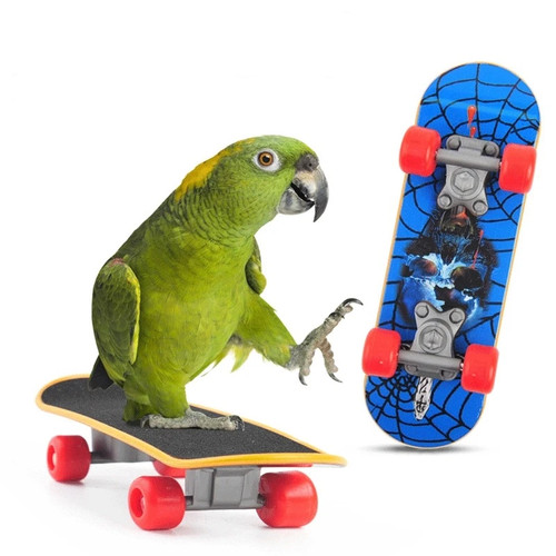 Skateboard trick training - skateboard,
