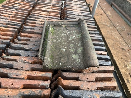 Reclaimed sterreberg coutrai - reclaimed,